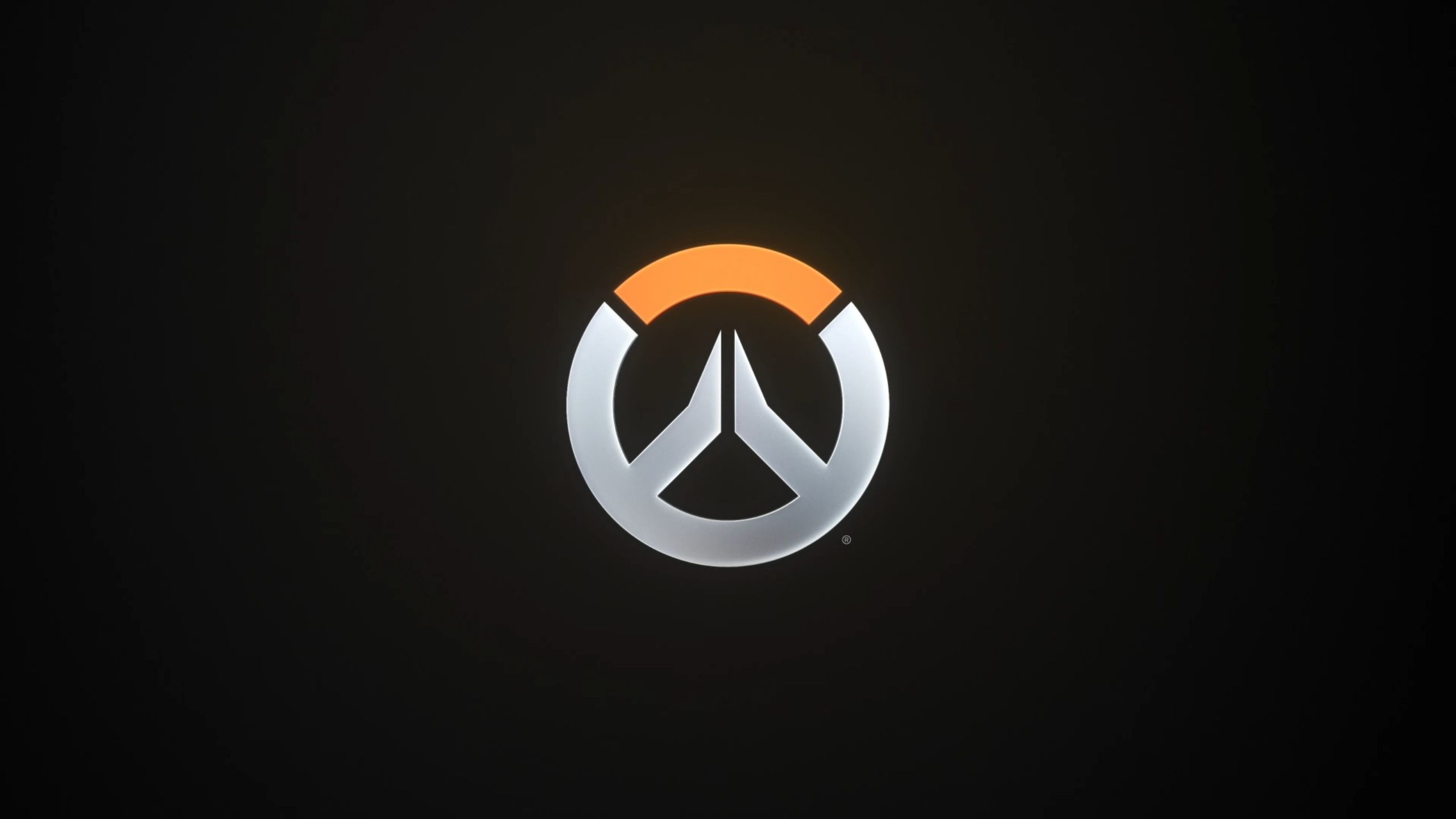 31号背后 31号背后